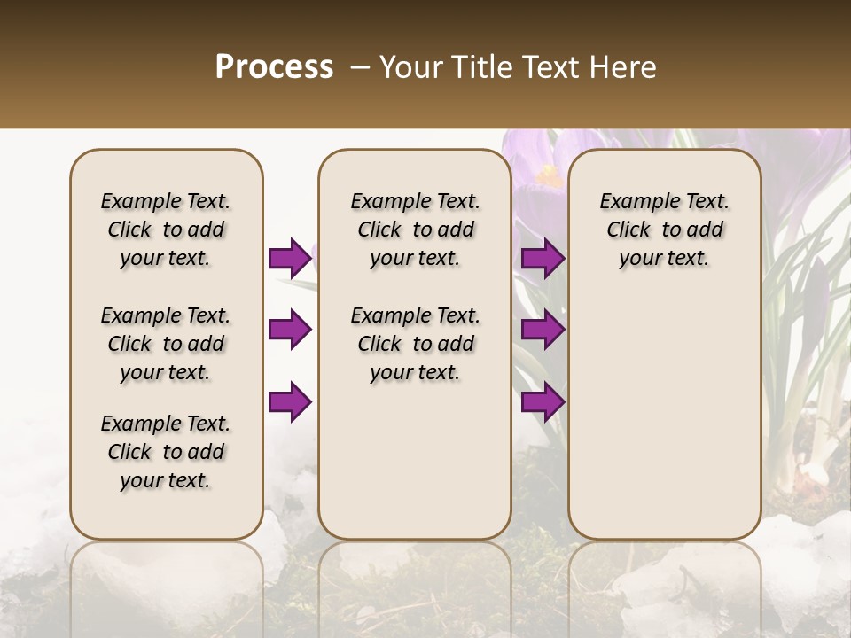 A Group Of Purple Flowers Sitting On Top Of Snow Covered Ground PowerPoint Template