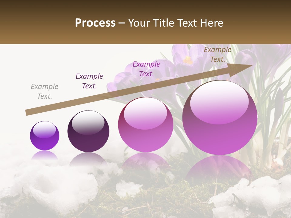 A Group Of Purple Flowers Sitting On Top Of Snow Covered Ground PowerPoint Template