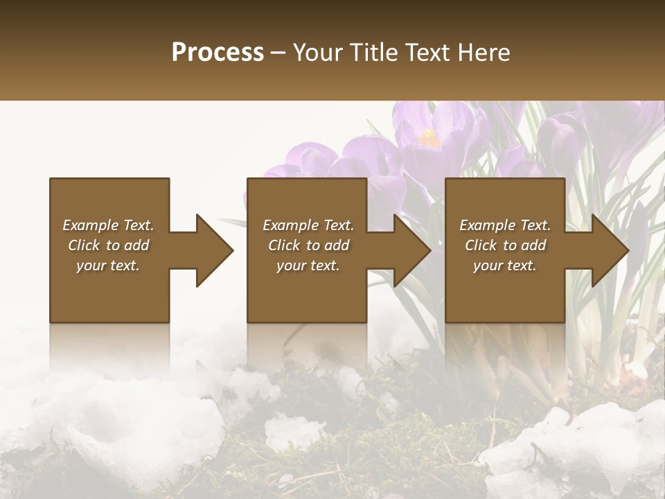 A Group Of Purple Flowers Sitting On Top Of Snow Covered Ground PowerPoint Template