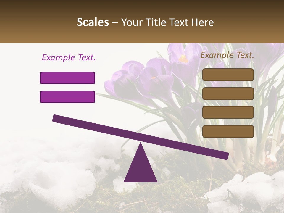 A Group Of Purple Flowers Sitting On Top Of Snow Covered Ground PowerPoint Template