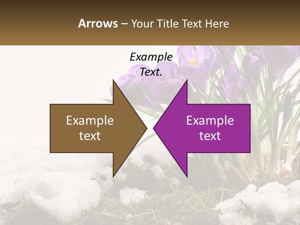 A Group Of Purple Flowers Sitting On Top Of Snow Covered Ground PowerPoint Template