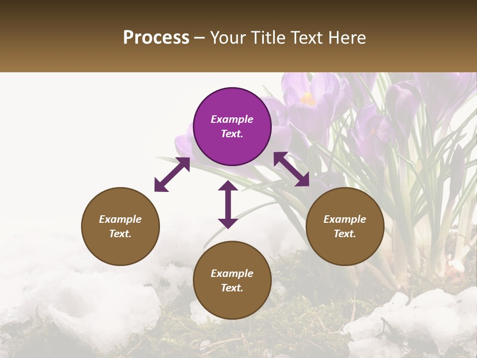 A Group Of Purple Flowers Sitting On Top Of Snow Covered Ground PowerPoint Template