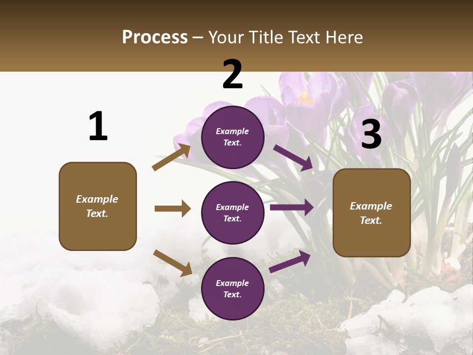 A Group Of Purple Flowers Sitting On Top Of Snow Covered Ground PowerPoint Template