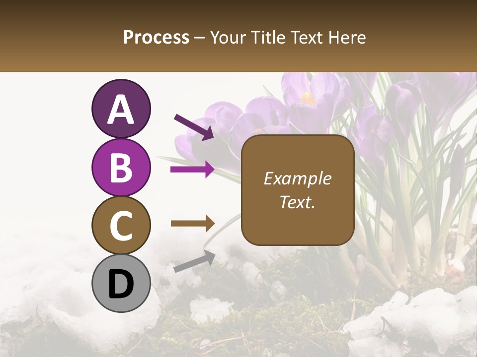 A Group Of Purple Flowers Sitting On Top Of Snow Covered Ground PowerPoint Template