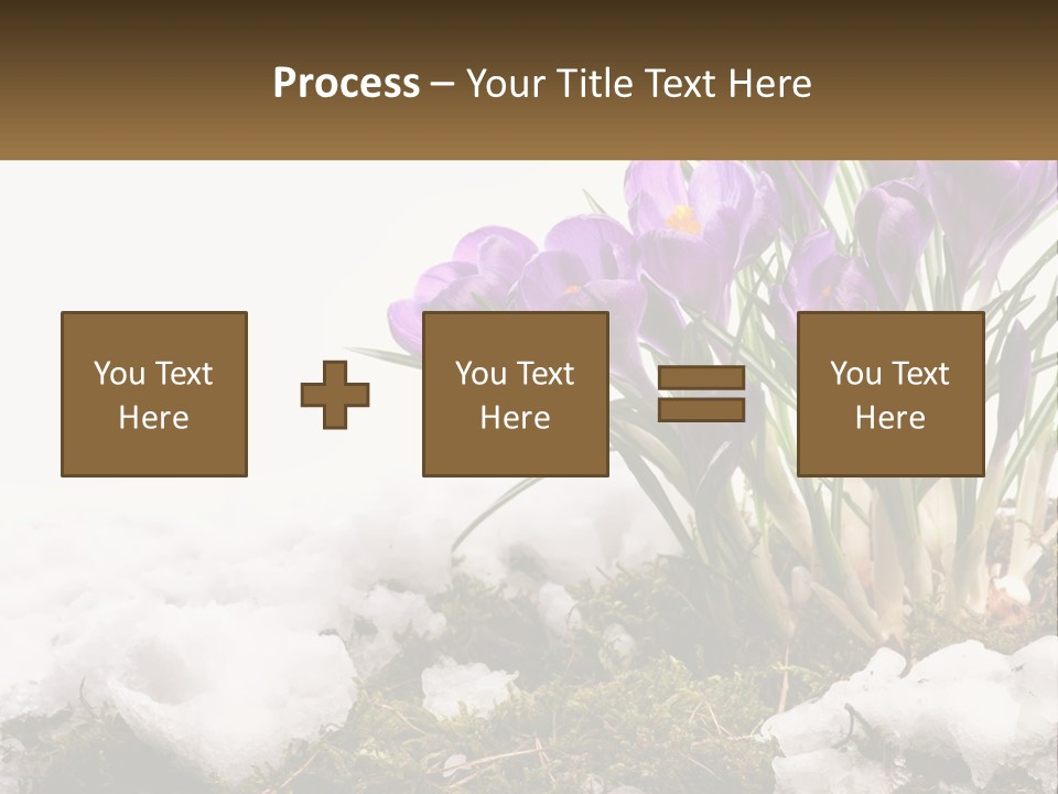 A Group Of Purple Flowers Sitting On Top Of Snow Covered Ground PowerPoint Template