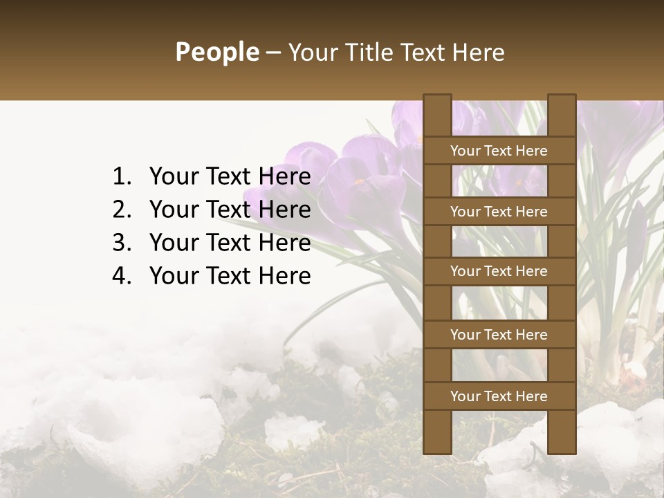 A Group Of Purple Flowers Sitting On Top Of Snow Covered Ground PowerPoint Template