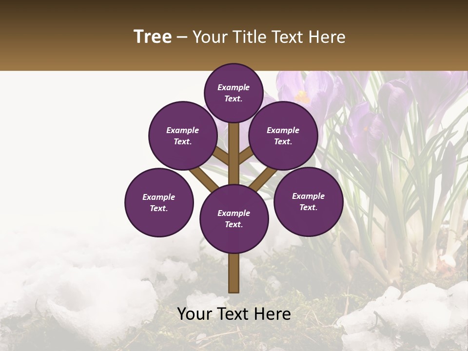 A Group Of Purple Flowers Sitting On Top Of Snow Covered Ground PowerPoint Template