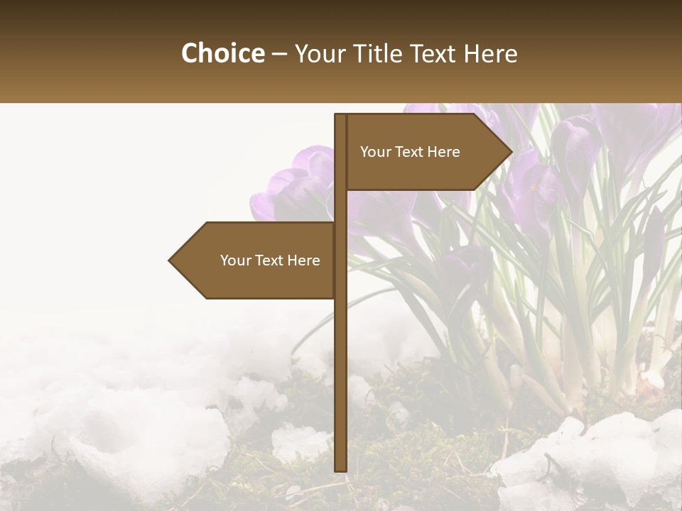 A Group Of Purple Flowers Sitting On Top Of Snow Covered Ground PowerPoint Template