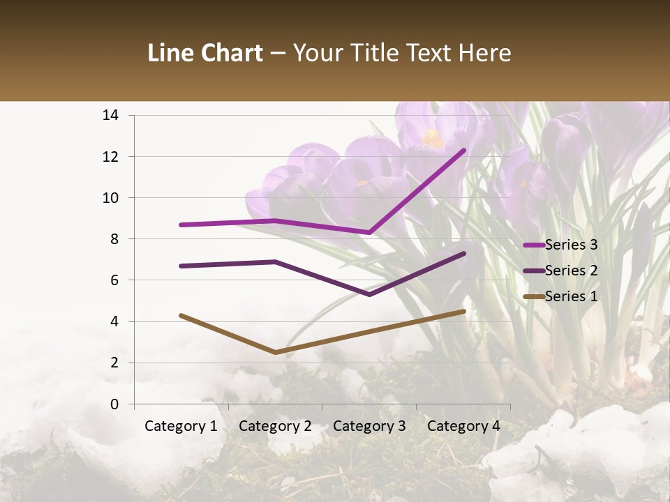 A Group Of Purple Flowers Sitting On Top Of Snow Covered Ground PowerPoint Template