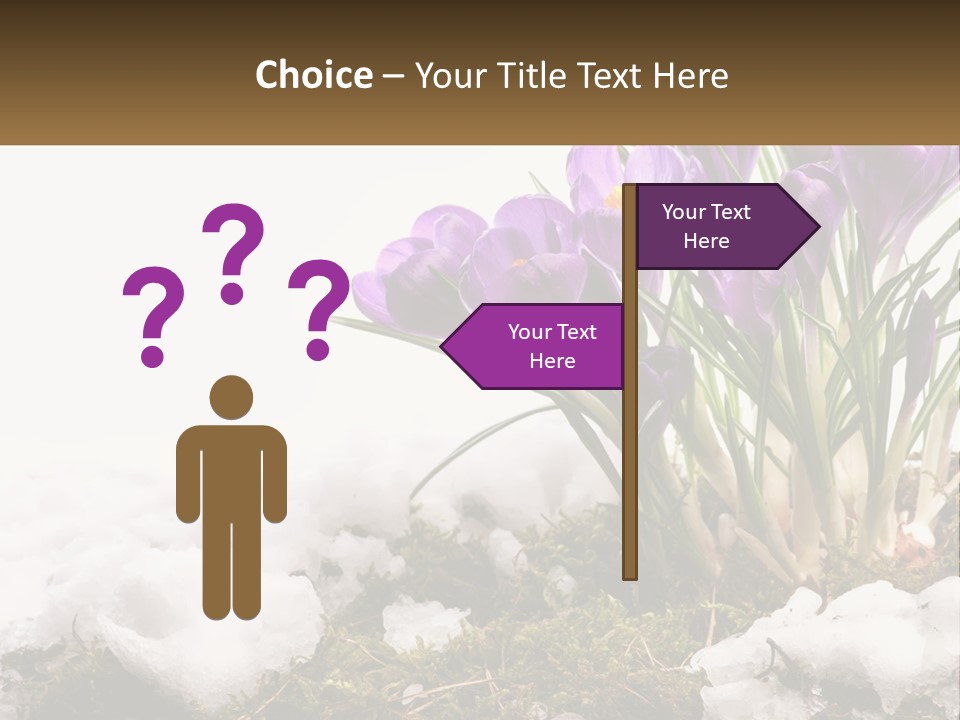 A Group Of Purple Flowers Sitting On Top Of Snow Covered Ground PowerPoint Template