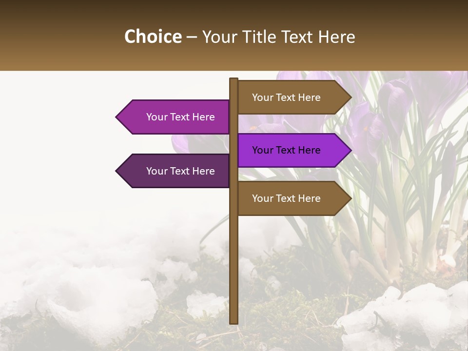 A Group Of Purple Flowers Sitting On Top Of Snow Covered Ground PowerPoint Template