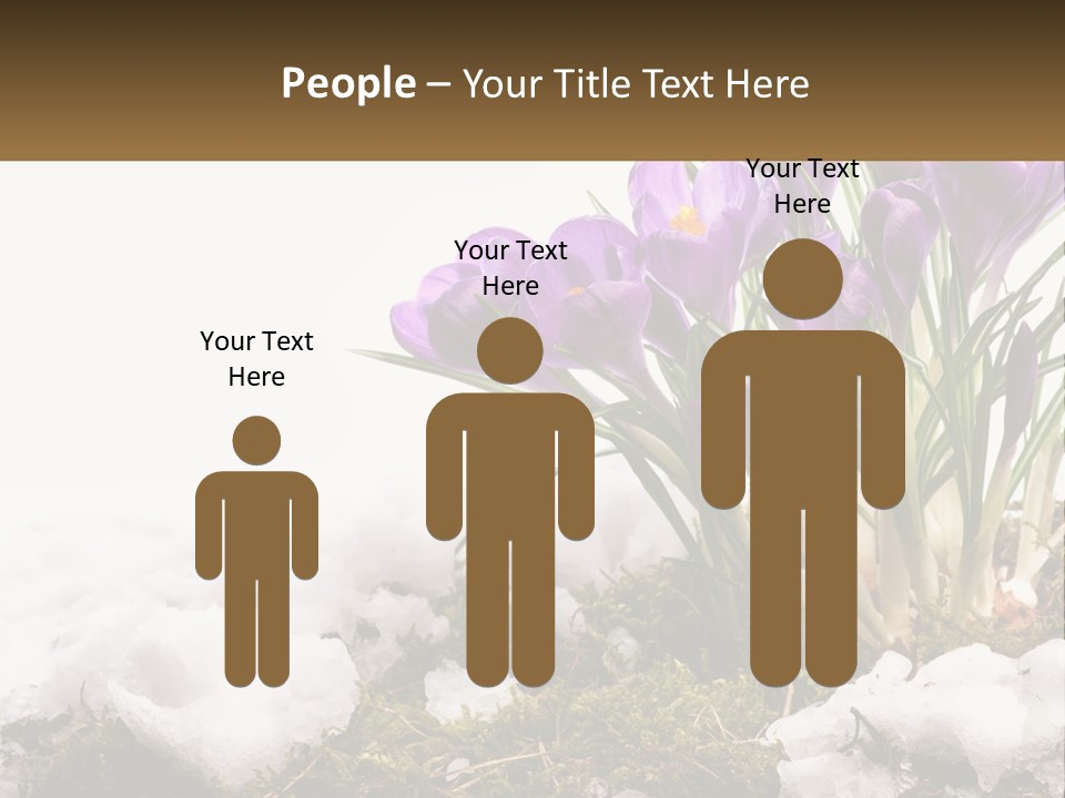 A Group Of Purple Flowers Sitting On Top Of Snow Covered Ground PowerPoint Template