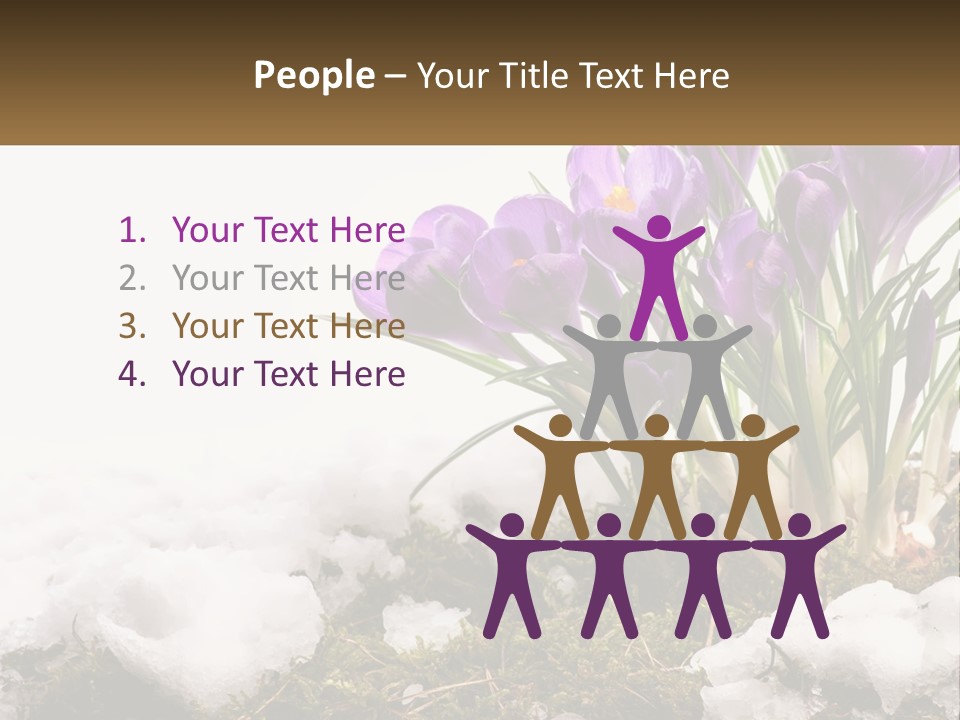 A Group Of Purple Flowers Sitting On Top Of Snow Covered Ground PowerPoint Template