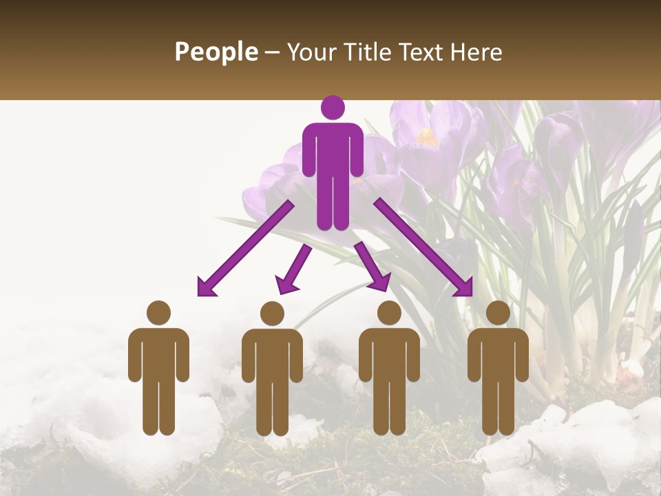 A Group Of Purple Flowers Sitting On Top Of Snow Covered Ground PowerPoint Template