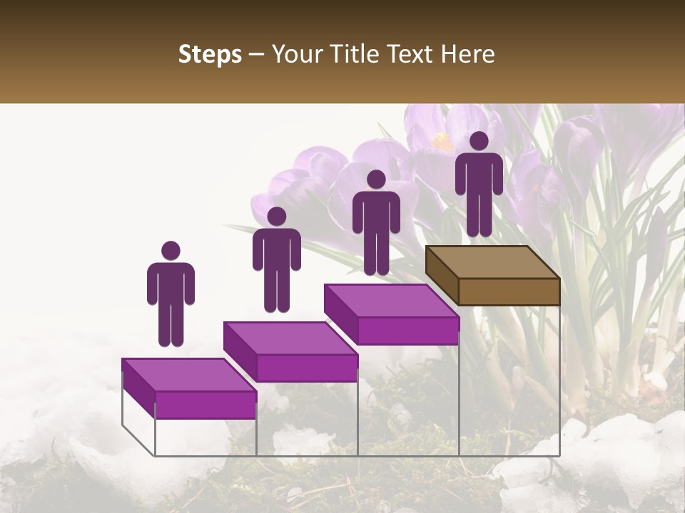 A Group Of Purple Flowers Sitting On Top Of Snow Covered Ground PowerPoint Template