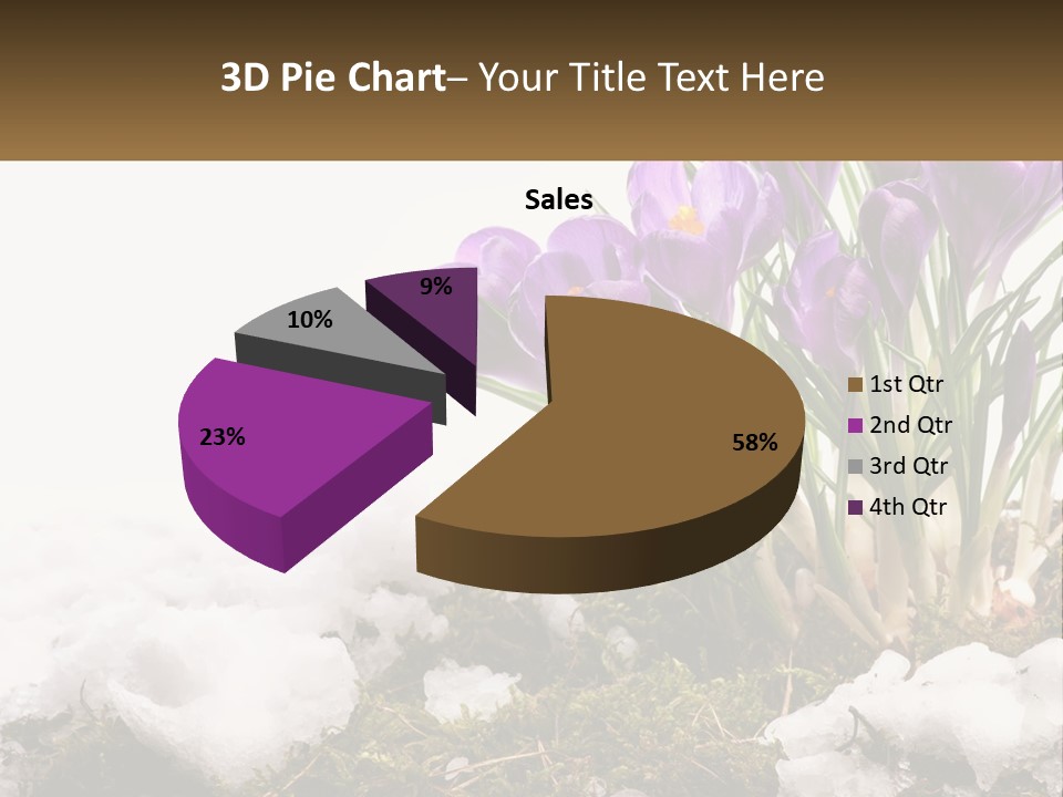 A Group Of Purple Flowers Sitting On Top Of Snow Covered Ground PowerPoint Template