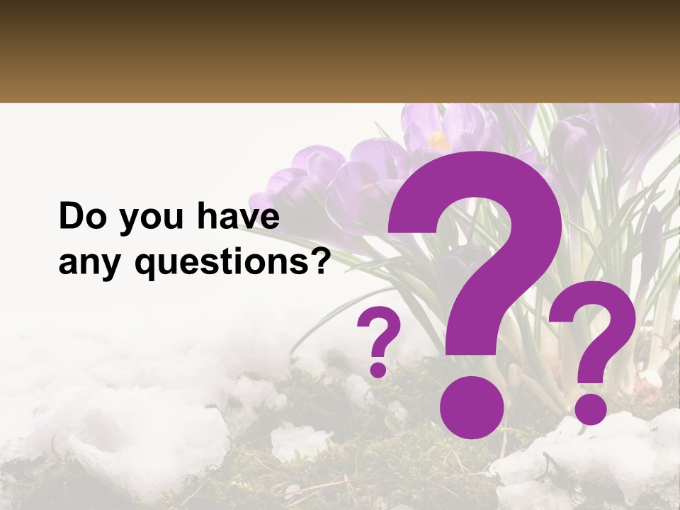 A Group Of Purple Flowers Sitting On Top Of Snow Covered Ground PowerPoint Template