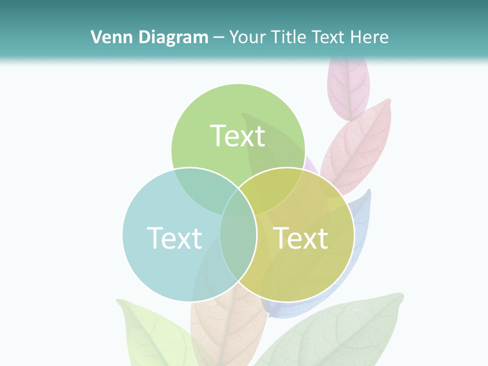 A Colorful Leaf Powerpoint Presentation PowerPoint Template