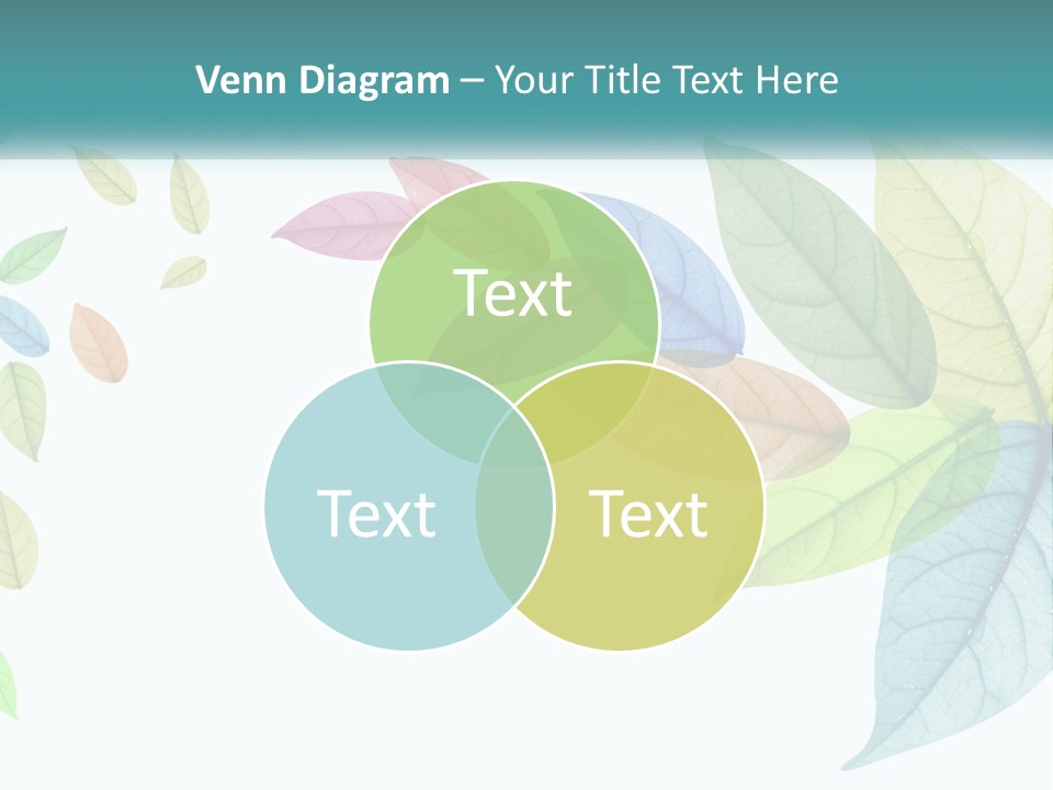 A Colorful Leaf Powerpoint Presentation PowerPoint Template