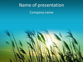 A Powerpoint Presentation With The Sun In The Background PowerPoint Template