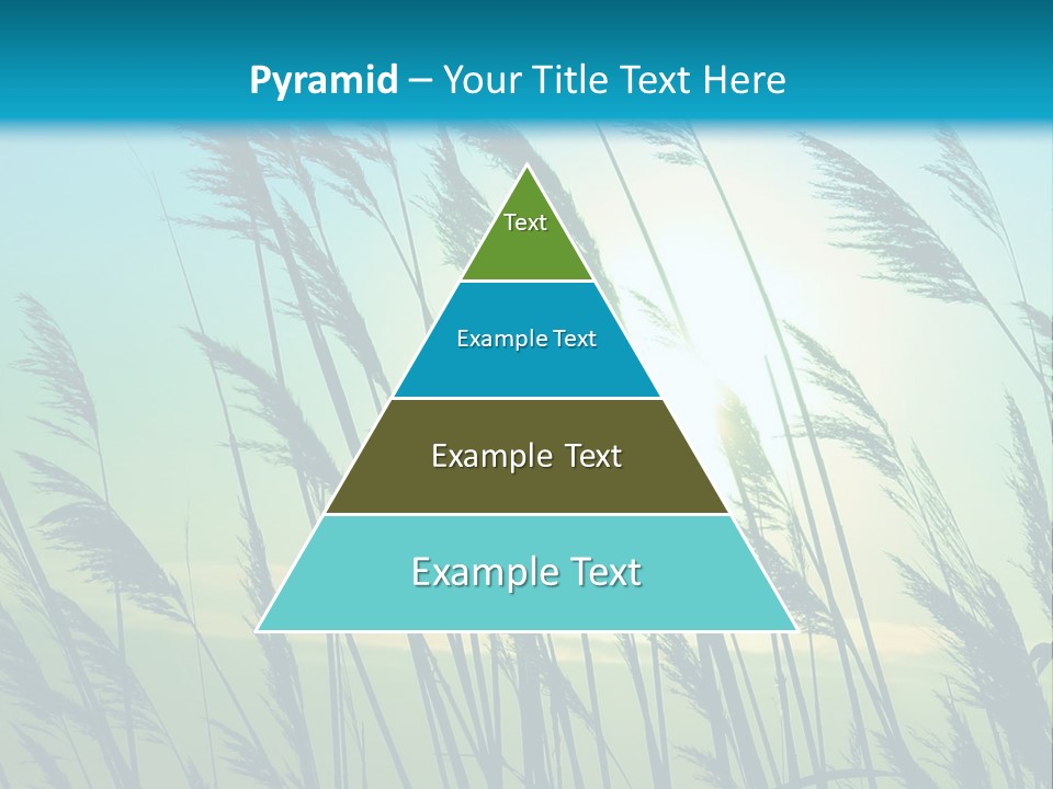 A Powerpoint Presentation With The Sun In The Background PowerPoint Template