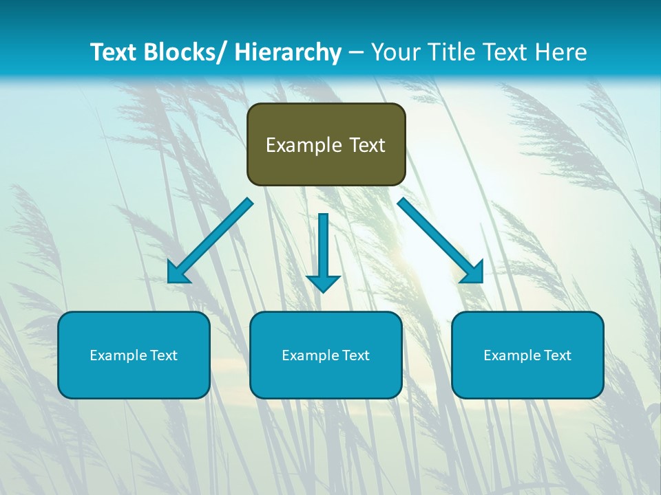 A Powerpoint Presentation With The Sun In The Background PowerPoint Template