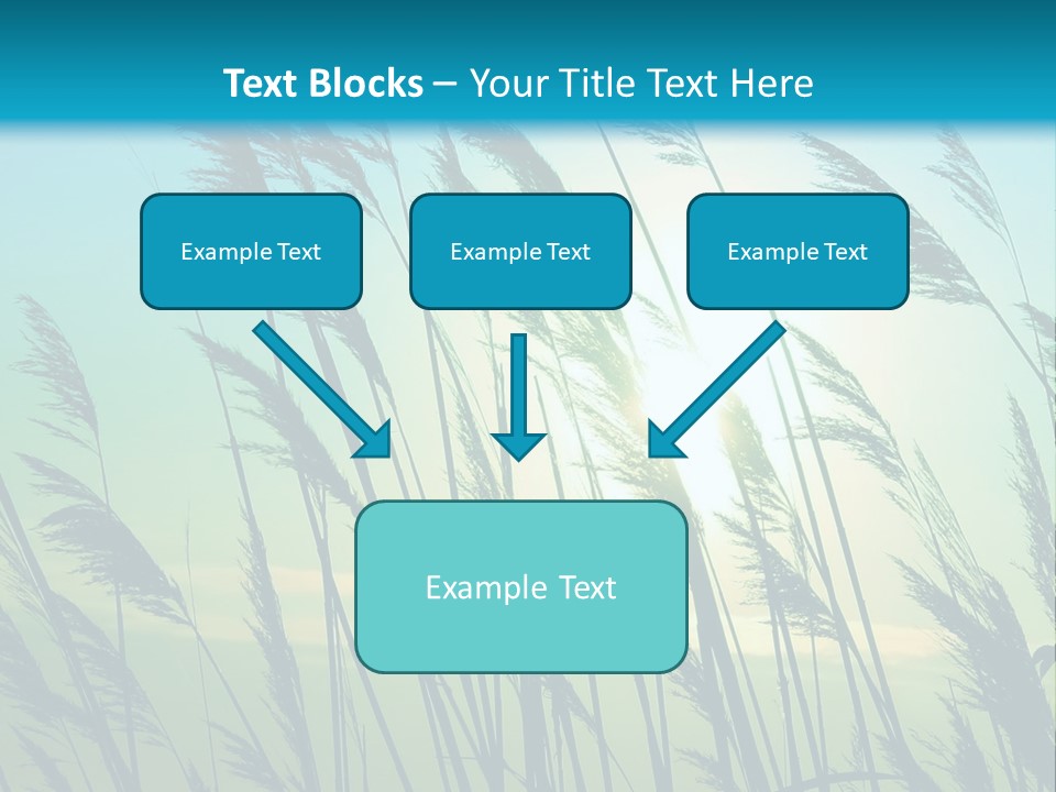 A Powerpoint Presentation With The Sun In The Background PowerPoint Template