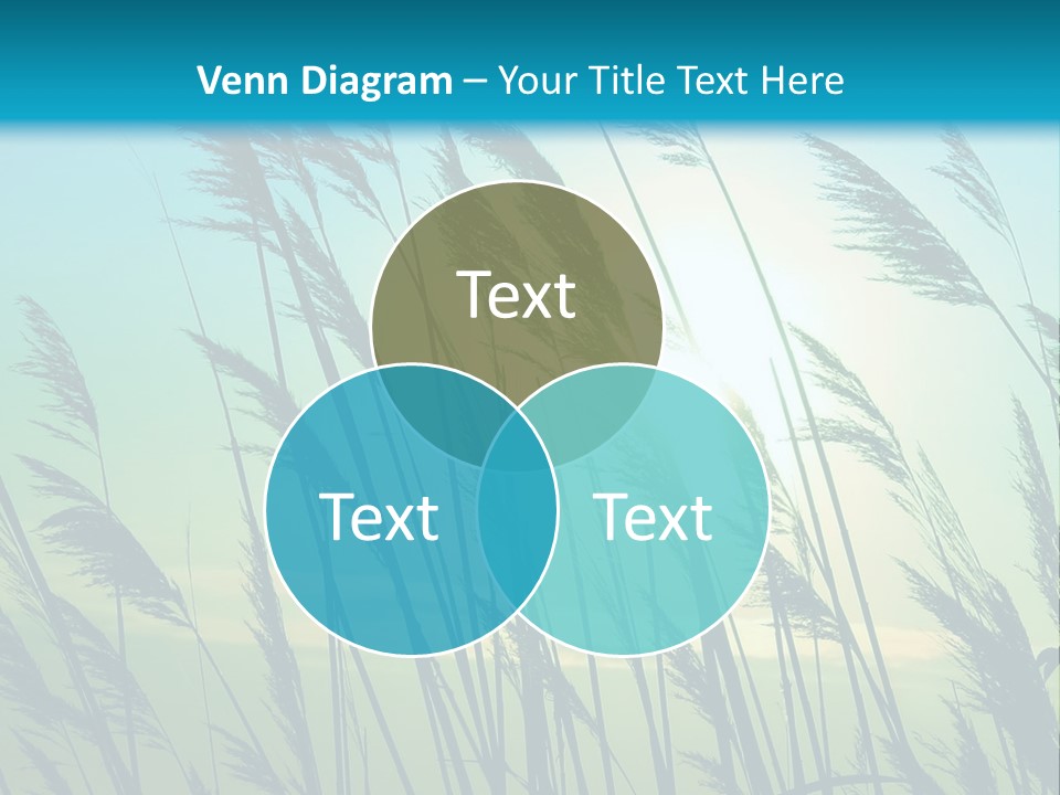 A Powerpoint Presentation With The Sun In The Background PowerPoint Template