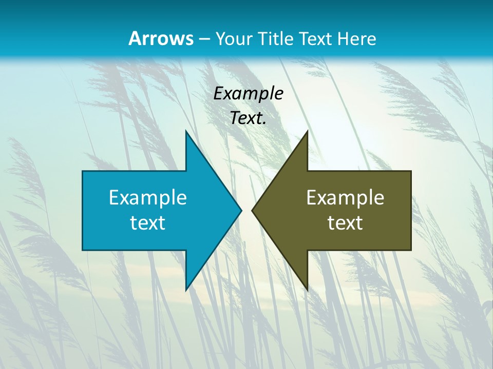 A Powerpoint Presentation With The Sun In The Background PowerPoint Template
