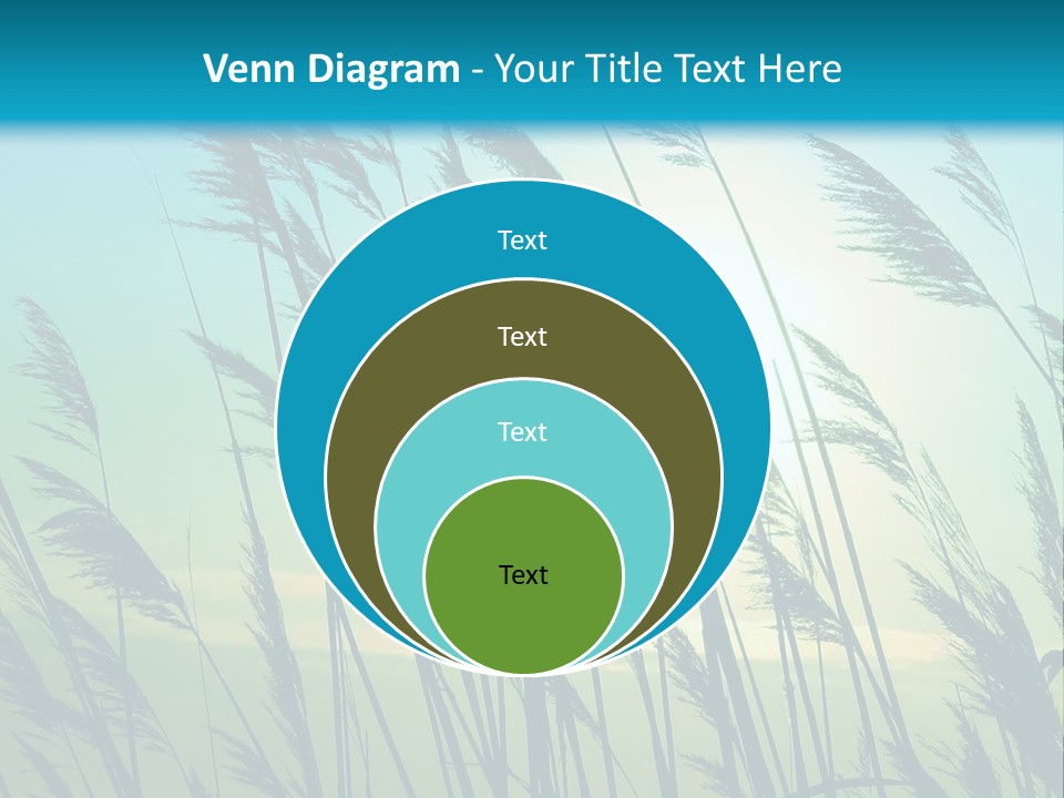 A Powerpoint Presentation With The Sun In The Background PowerPoint Template