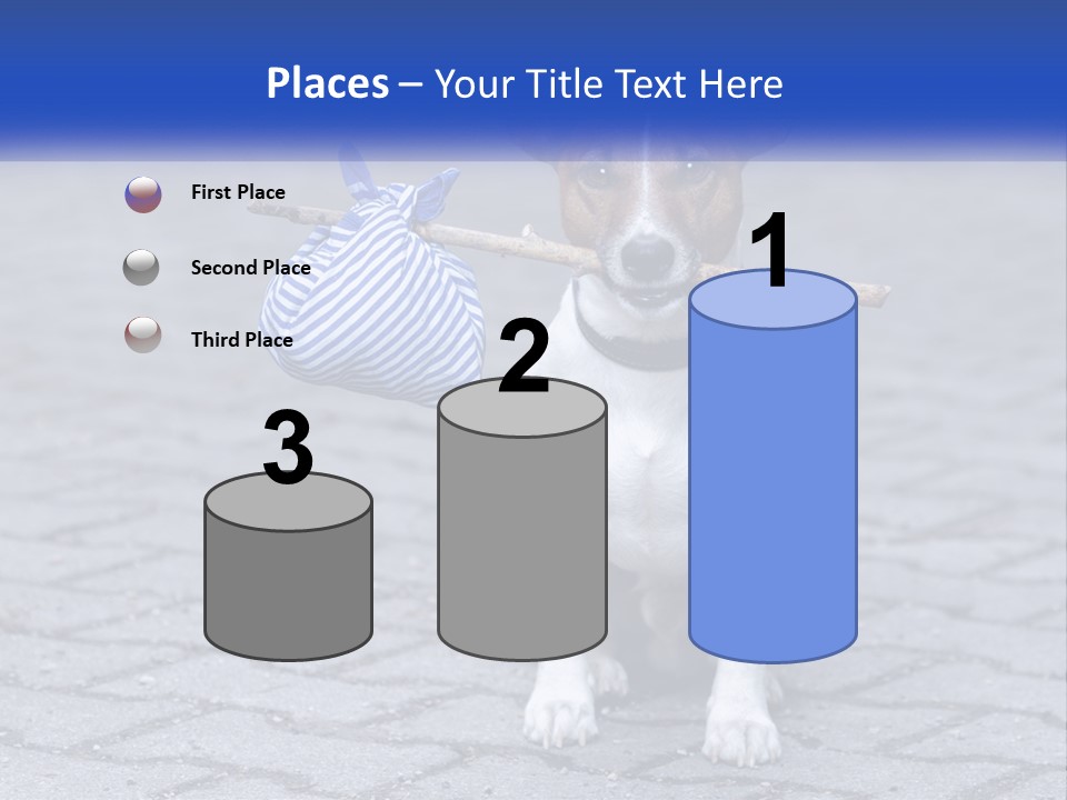 A Brown And White Dog Holding A Stick In Its Mouth PowerPoint Template