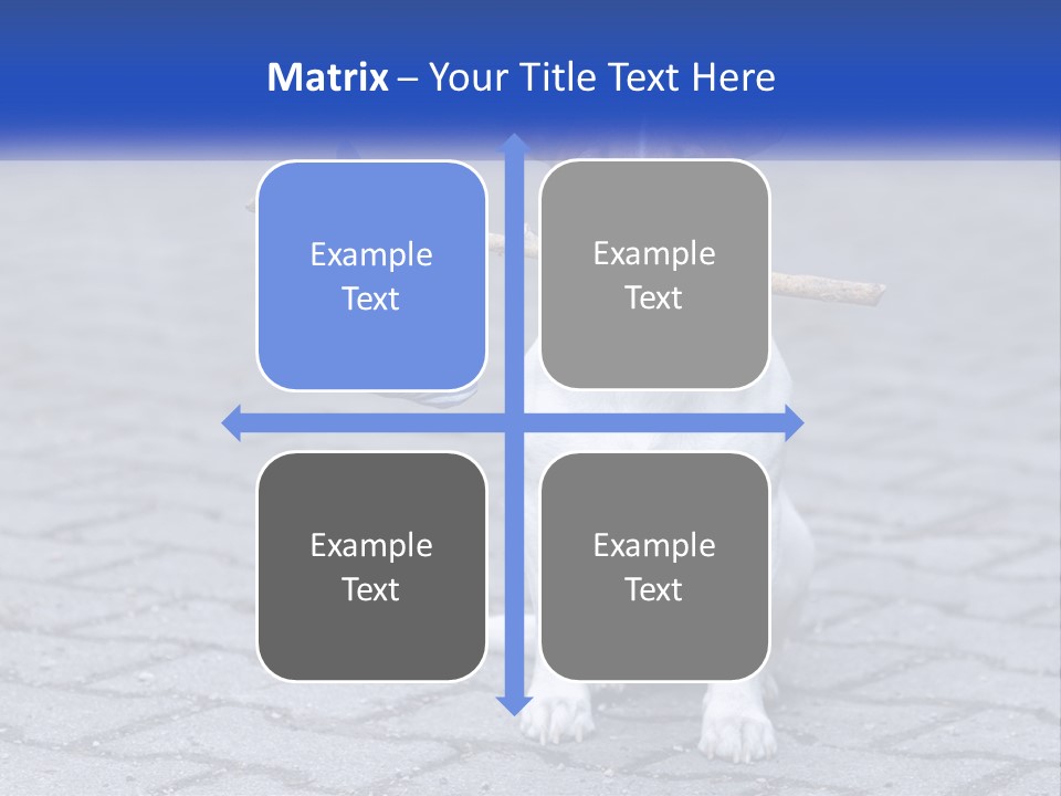 A Brown And White Dog Holding A Stick In Its Mouth PowerPoint Template