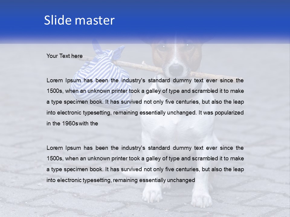 A Brown And White Dog Holding A Stick In Its Mouth PowerPoint Template