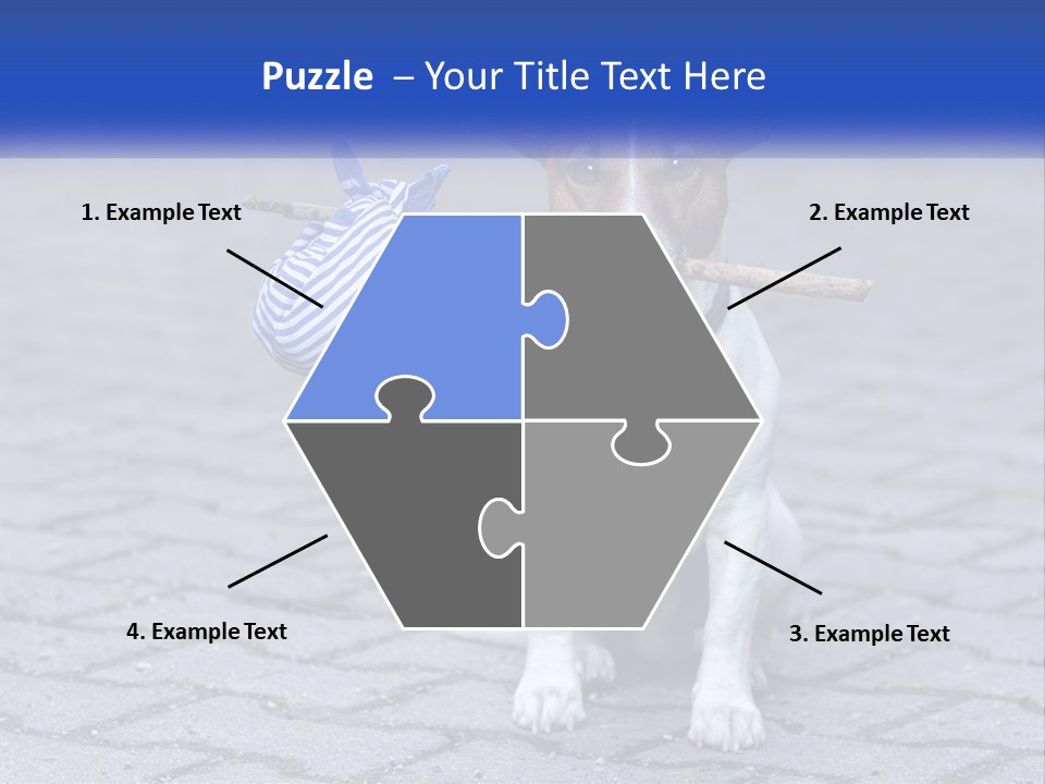 A Brown And White Dog Holding A Stick In Its Mouth PowerPoint Template