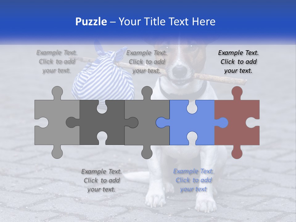 A Brown And White Dog Holding A Stick In Its Mouth PowerPoint Template