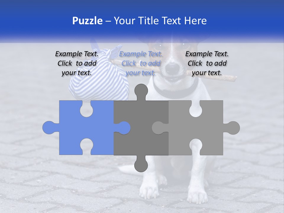 A Brown And White Dog Holding A Stick In Its Mouth PowerPoint Template