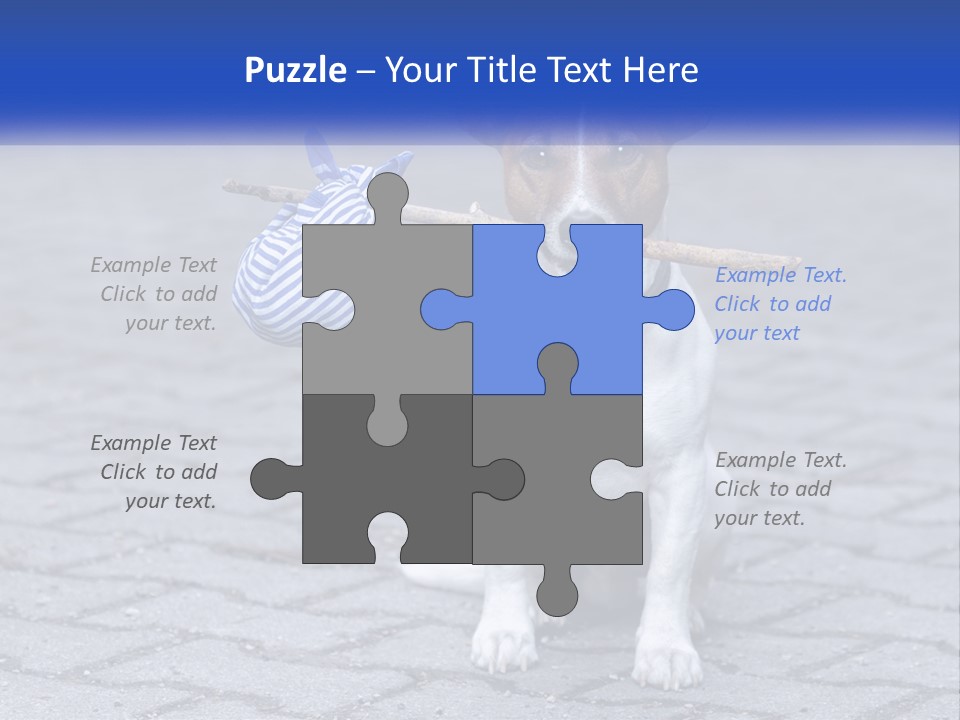 A Brown And White Dog Holding A Stick In Its Mouth PowerPoint Template