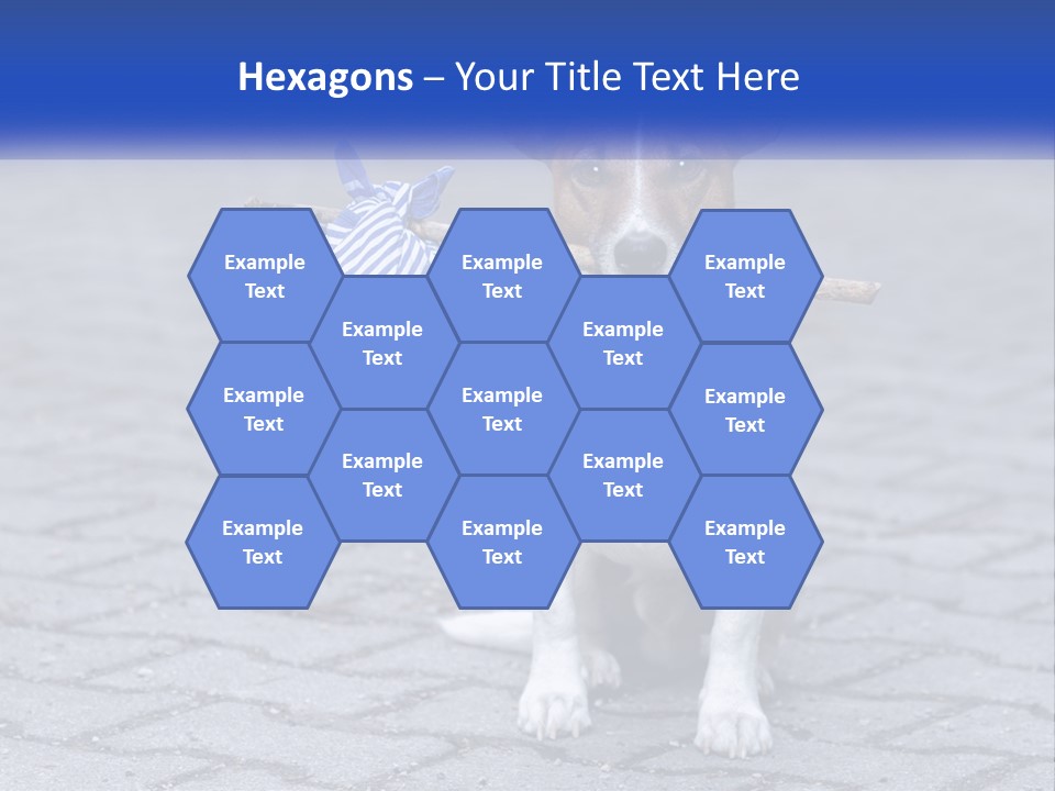 A Brown And White Dog Holding A Stick In Its Mouth PowerPoint Template