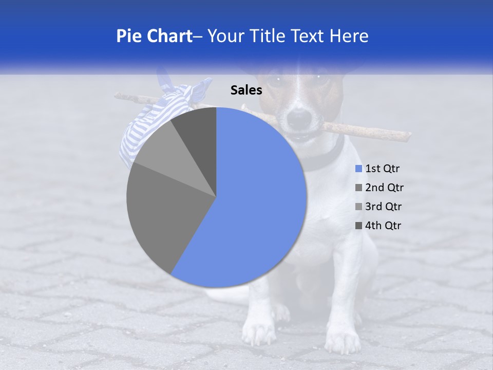 A Brown And White Dog Holding A Stick In Its Mouth PowerPoint Template