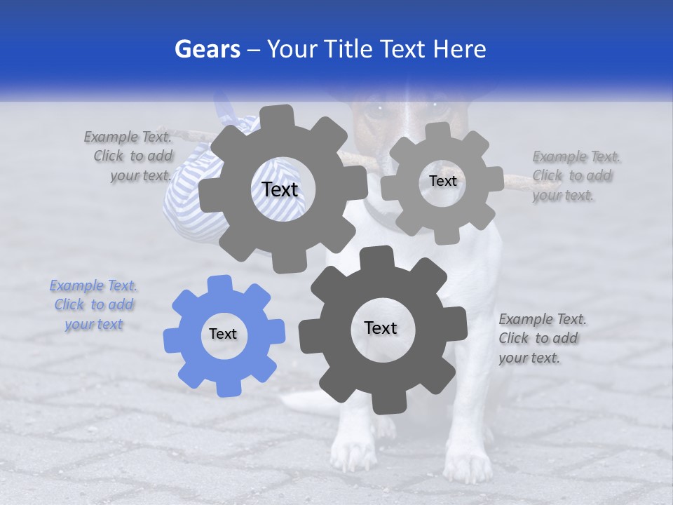 A Brown And White Dog Holding A Stick In Its Mouth PowerPoint Template