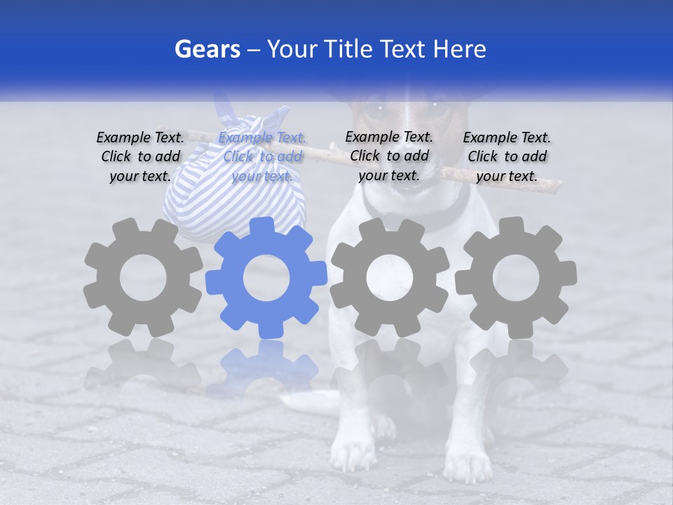 A Brown And White Dog Holding A Stick In Its Mouth PowerPoint Template