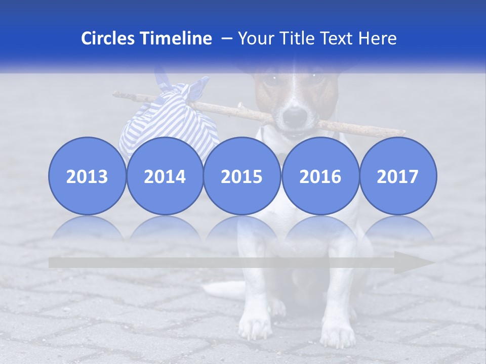 A Brown And White Dog Holding A Stick In Its Mouth PowerPoint Template