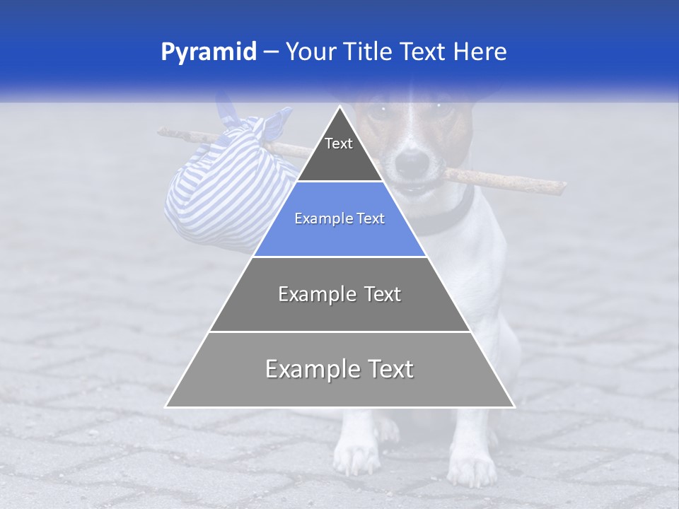 A Brown And White Dog Holding A Stick In Its Mouth PowerPoint Template