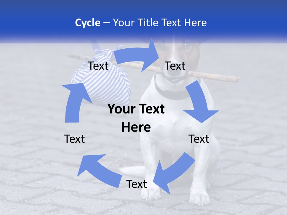 A Brown And White Dog Holding A Stick In Its Mouth PowerPoint Template