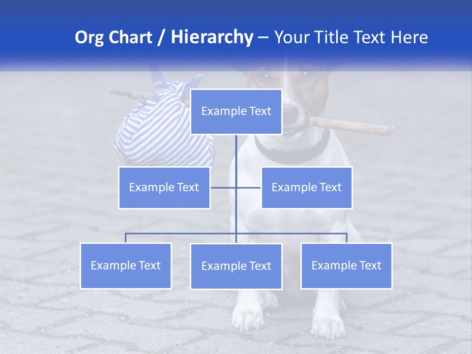 A Brown And White Dog Holding A Stick In Its Mouth PowerPoint Template