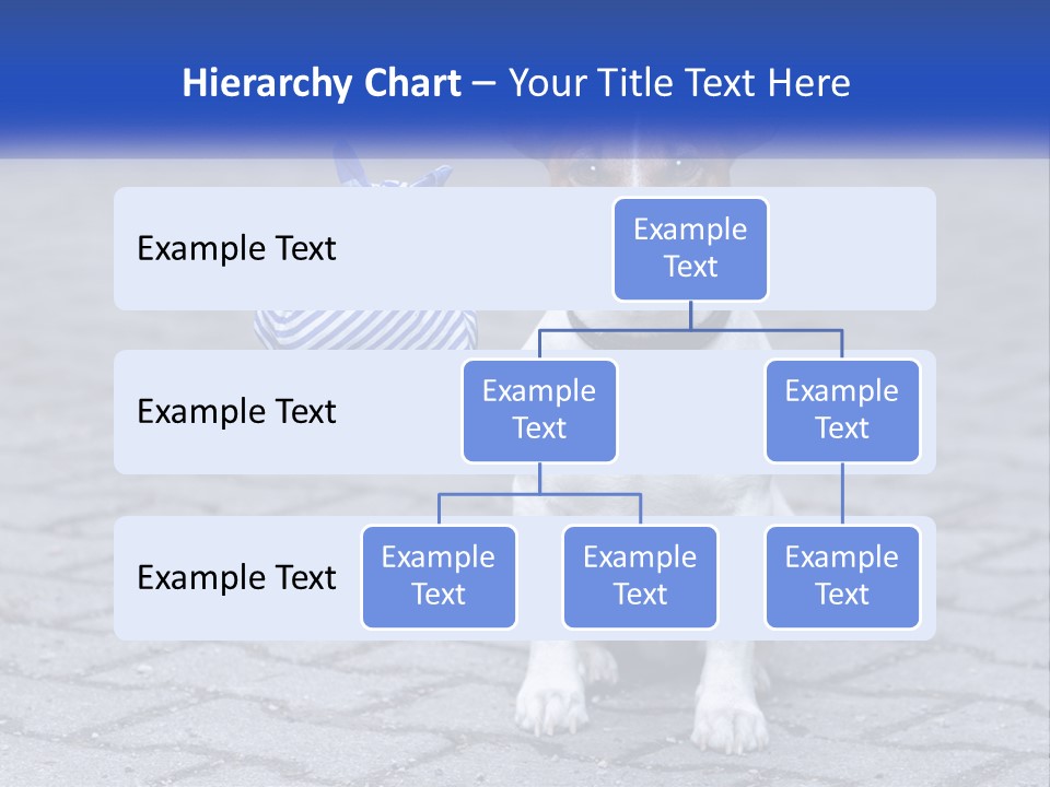 A Brown And White Dog Holding A Stick In Its Mouth PowerPoint Template