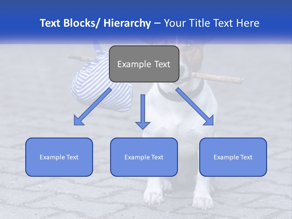 A Brown And White Dog Holding A Stick In Its Mouth PowerPoint Template