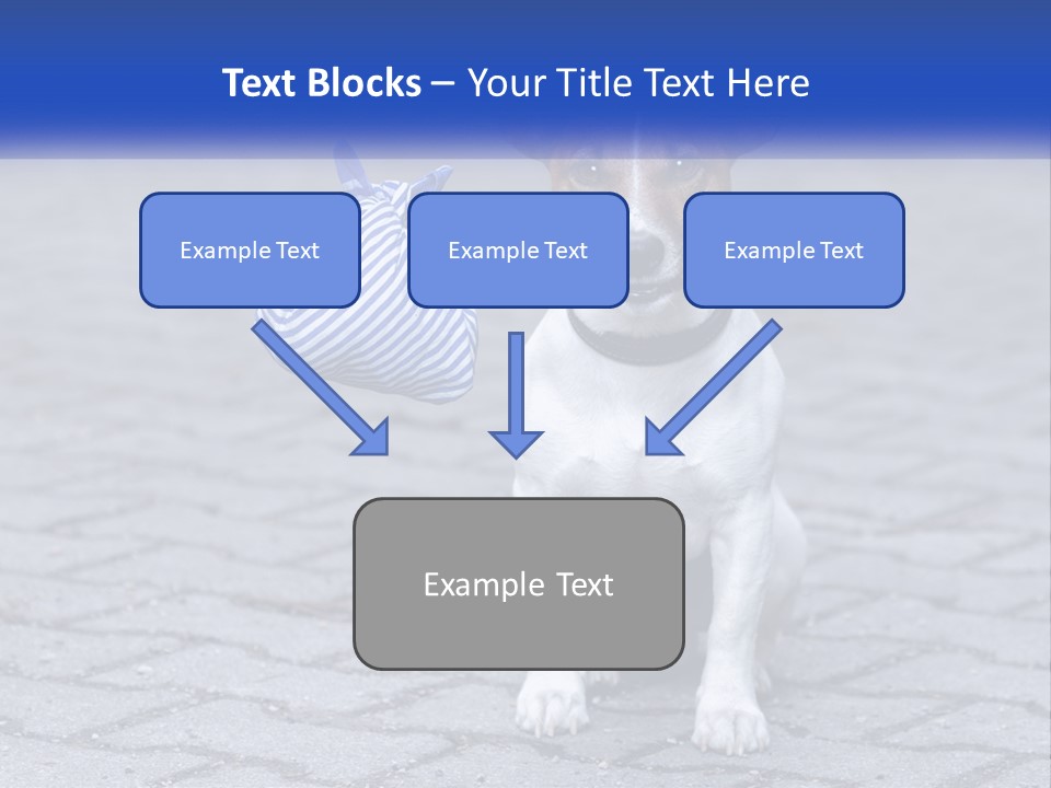 A Brown And White Dog Holding A Stick In Its Mouth PowerPoint Template