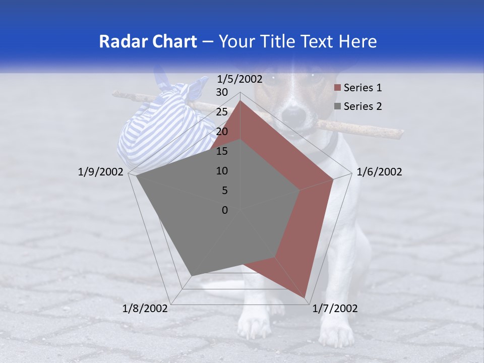 A Brown And White Dog Holding A Stick In Its Mouth PowerPoint Template