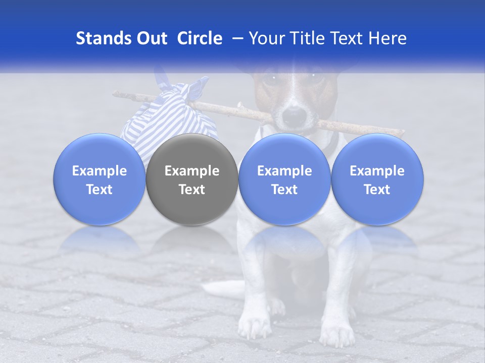 A Brown And White Dog Holding A Stick In Its Mouth PowerPoint Template
